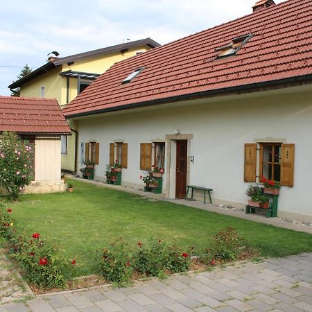 Sleeping In Village Svecina Экстерьер фото